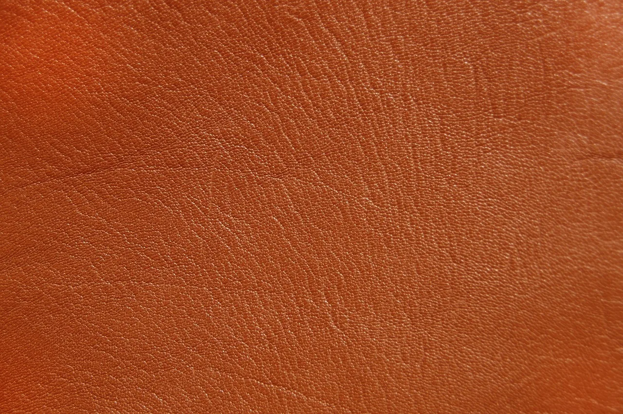 Reconnaitre du cuir, reconnaitre du cuir